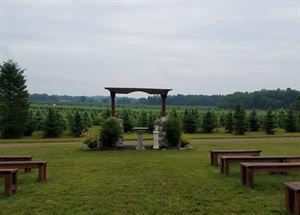 The Pine Ceremony Site