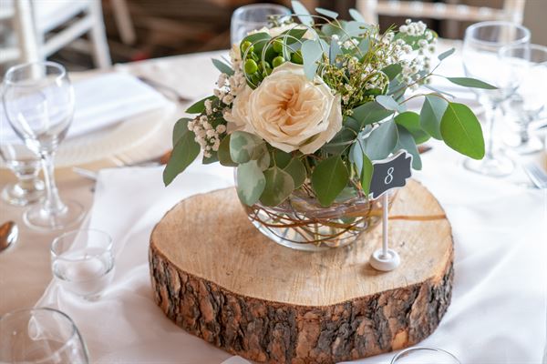 Banff Rocky Mountain Resort