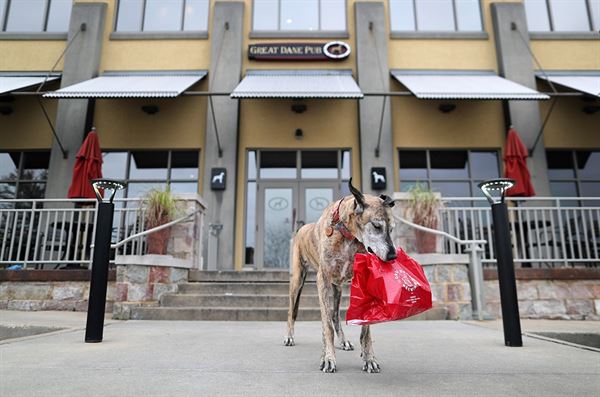 Great Dane Pub and Brewing Co. Wausau