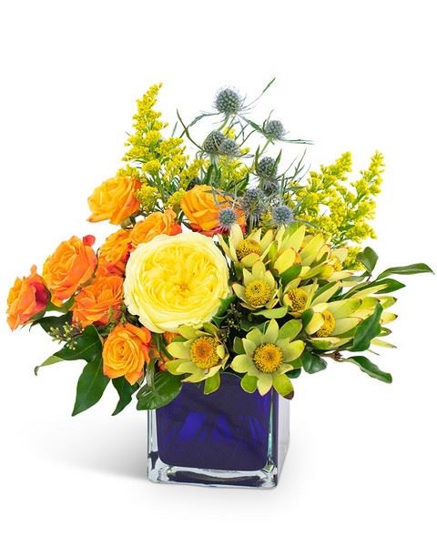 Joseph Genuardi Florist & Flower Delivery