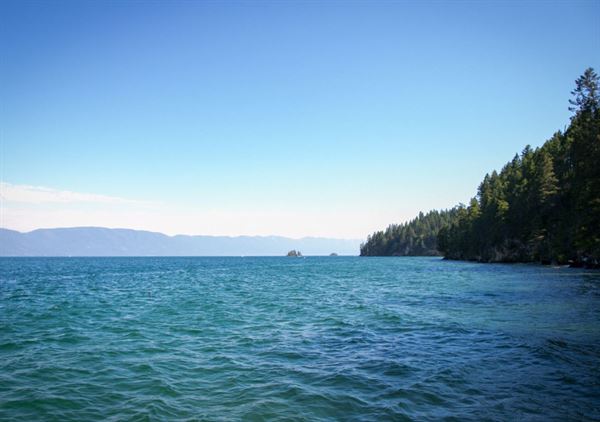 Spruce Lodge at Glacier Camp