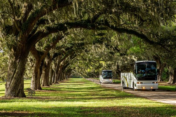 Boone Hall Plantation And Gardens