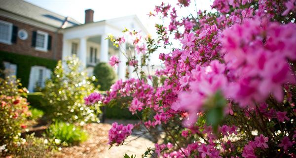 Boone Hall Plantation And Gardens