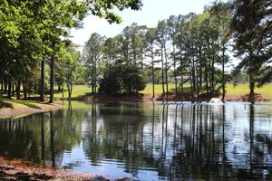 The Grove - Canapy Woodlands