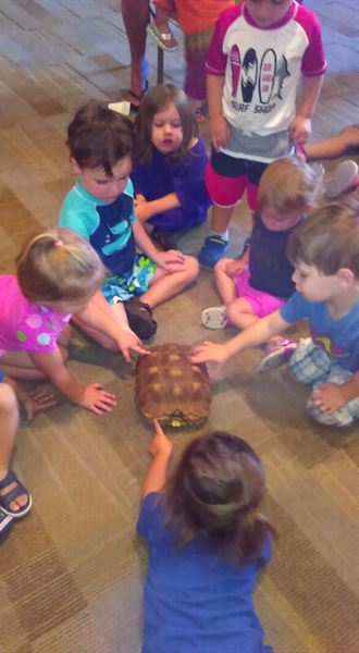 Desert Moon Entertainment