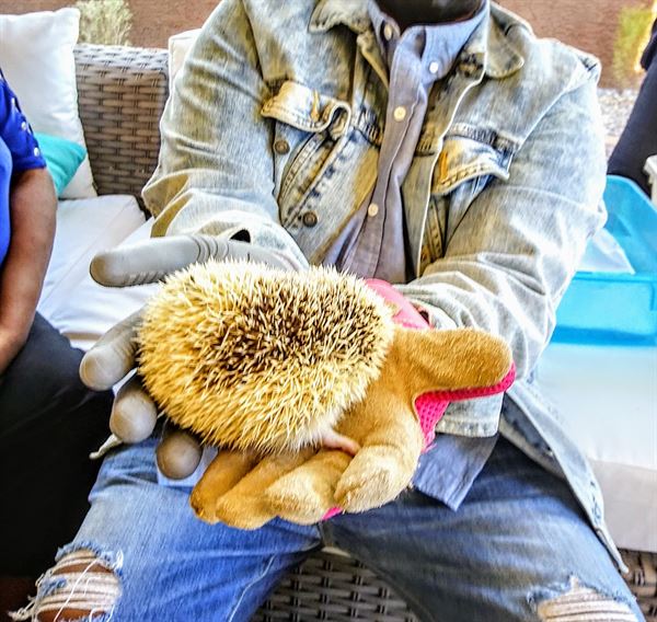 Desert Moon Entertainment