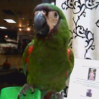 Desert Moon Entertainment