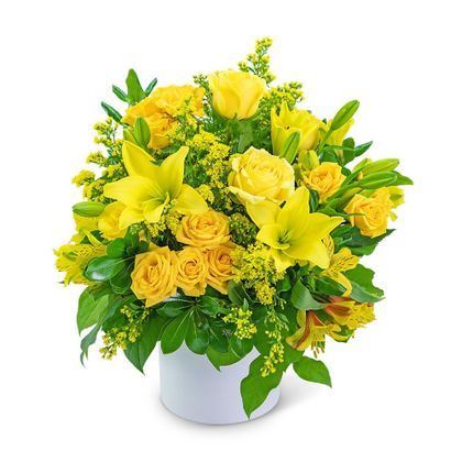 Lush Life Home & Garden