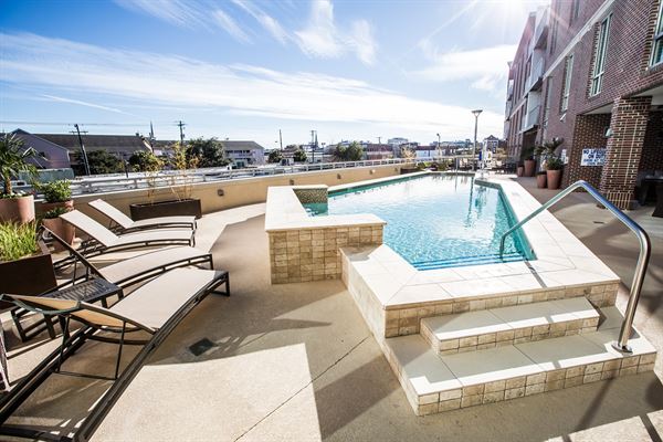 Live Oak - Charleston Historic District