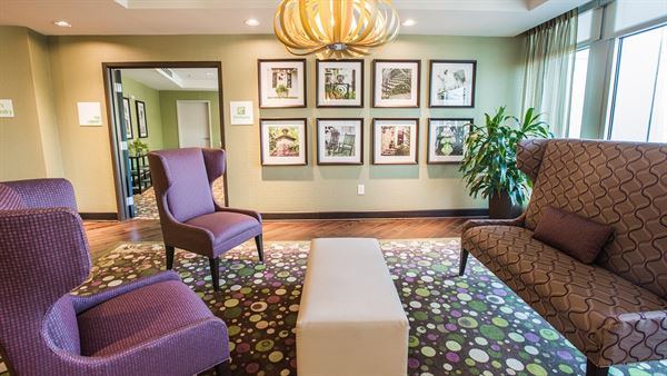 Live Oak - Charleston Historic District