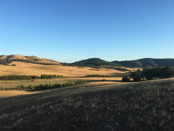 KC Ranches and Weddings