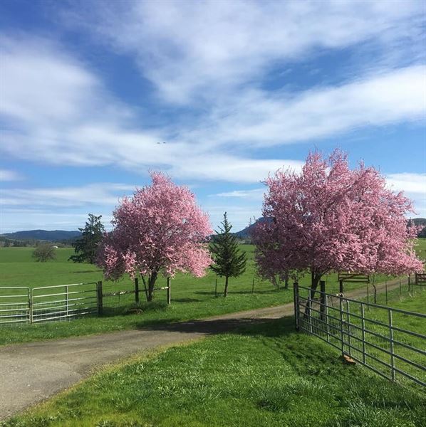 KC Ranches and Weddings