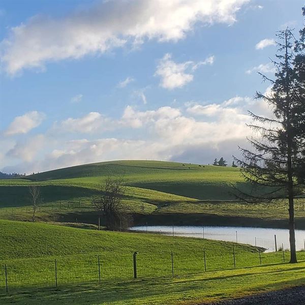 KC Ranches and Weddings