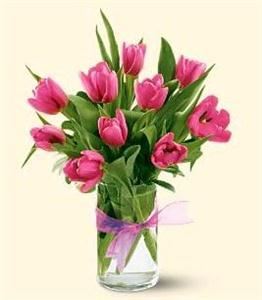 Rainbow's End Floral