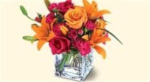 Rainbow's End Floral