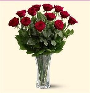 Rainbow's End Floral