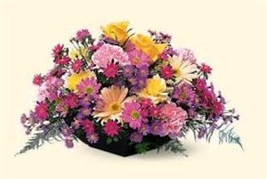 Rainbow's End Floral