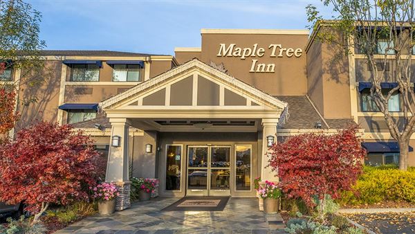Maple Tree Inn