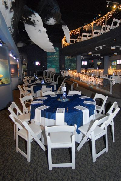 North Carolina Aquarium of Fort Fisher