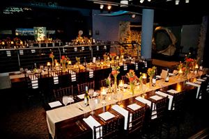 Upper and Lower Cape Fear Shoals