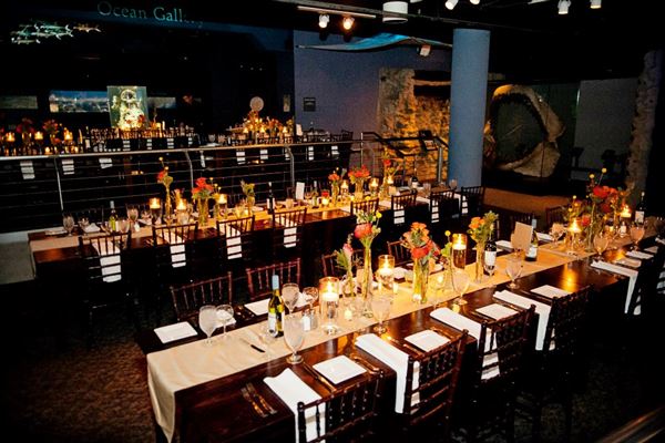 North Carolina Aquarium of Fort Fisher