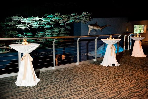 North Carolina Aquarium of Fort Fisher