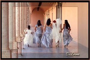 DeLorme Photography and Storybook Weddings