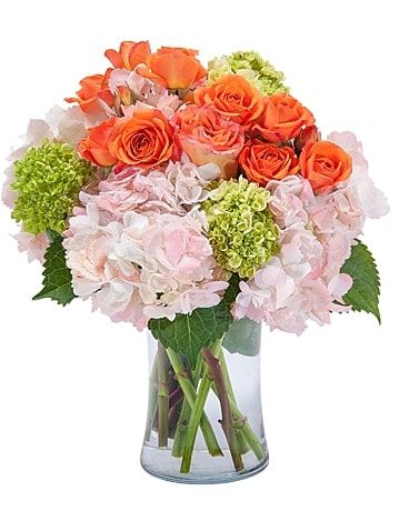 New Leaf Florist & Flower Delivery