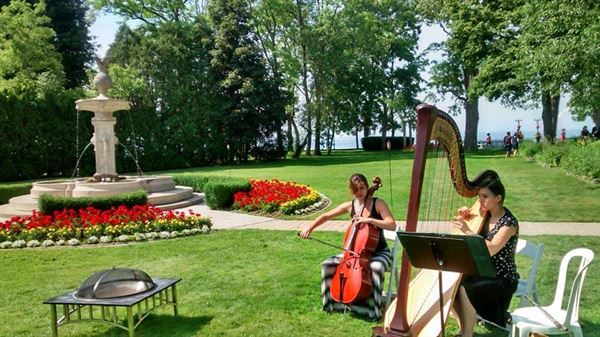 The Soenen Sisters-Harp, Flute and Cello for Weddings and Events