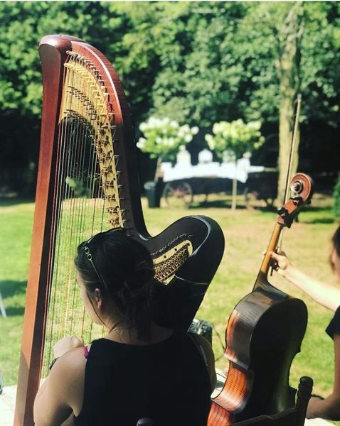 The Soenen Sisters-Harp, Flute and Cello for Weddings and Events