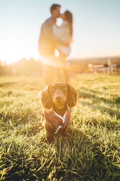Love Long and Prosper Photography