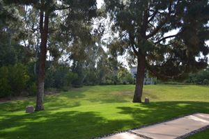 Outdoor Space Section B