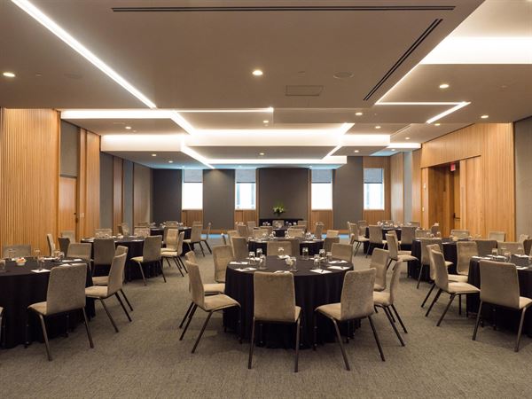 The Study at University City