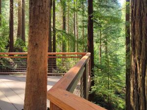 Redwood Deck