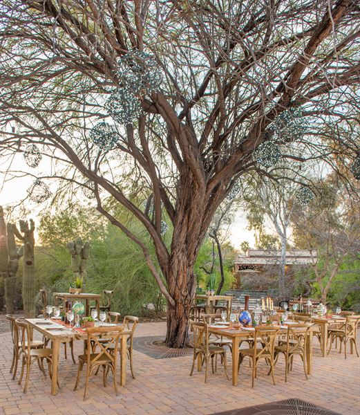 Phoenix Zoo / Arizona Center for Nature Conservation