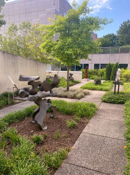 Knoxville Museum of Art