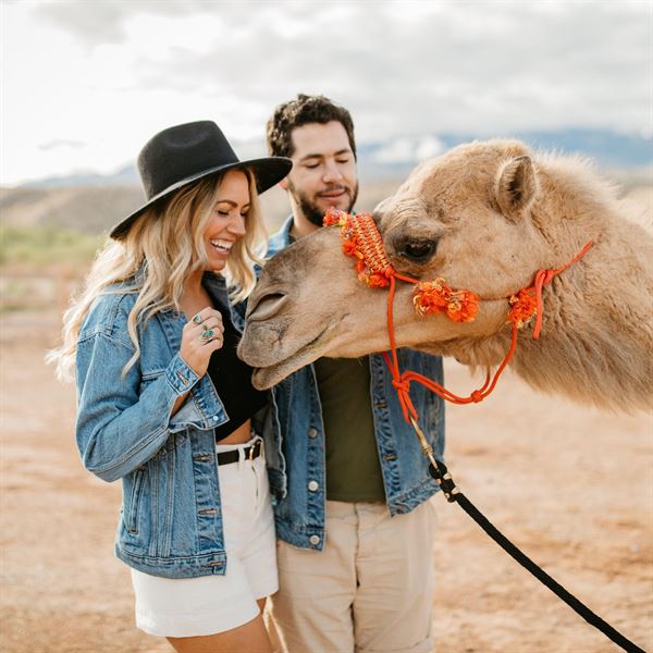 Camel Safari Event Venue