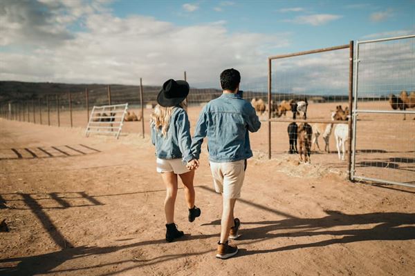 Camel Safari Event Venue