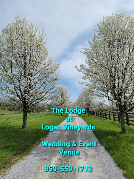 The Lodge at Logan Vineyards Wedding and Event Venue
