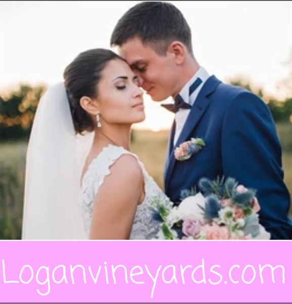The Lodge at Logan Vineyards Wedding and Event Venue