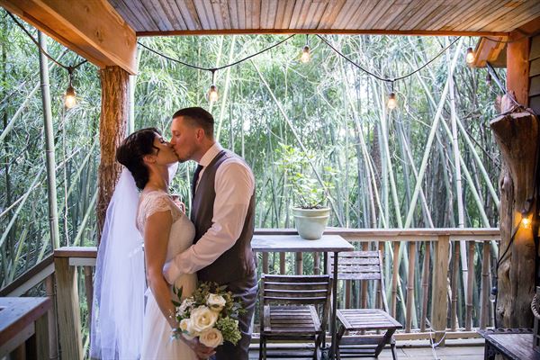 Atlanta Alpaca Treehouse in the Bamboo Forest