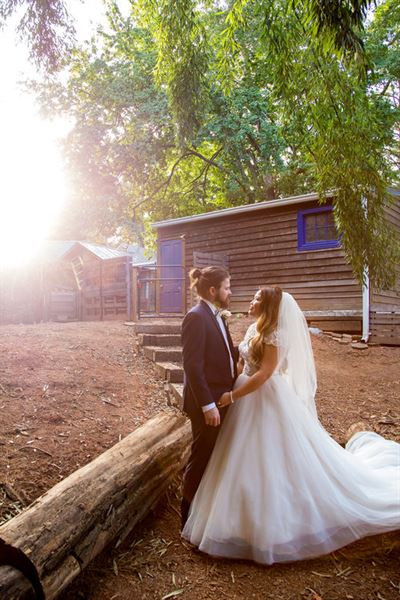 Atlanta Alpaca Treehouse in the Bamboo Forest