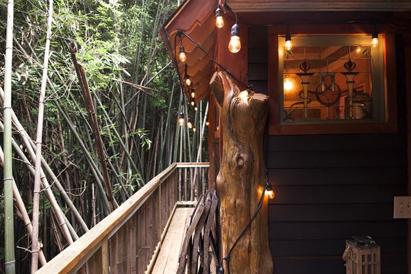Atlanta Alpaca Treehouse in the Bamboo Forest