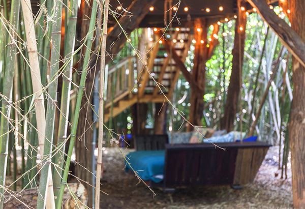 Atlanta Alpaca Treehouse in the Bamboo Forest