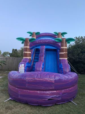 Sharkys of Sarasota Bounce House Rentals