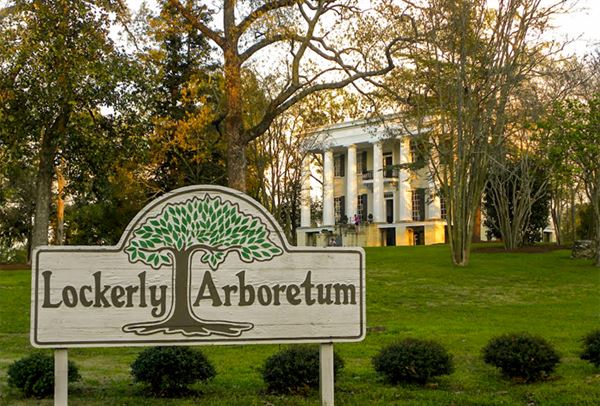 Lockerly Arboretum