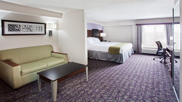 Holiday Inn Express Atlanta West - Theme Park Area