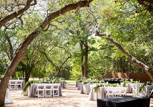 The Hummingbird Garden