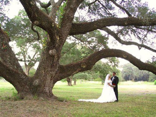 Blisswood Bed & Breakfast