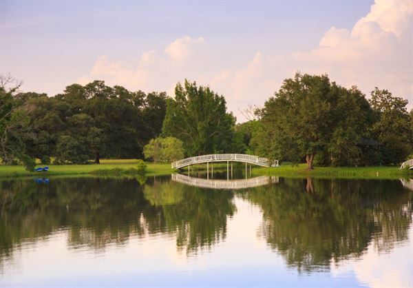 Blisswood Bed & Breakfast